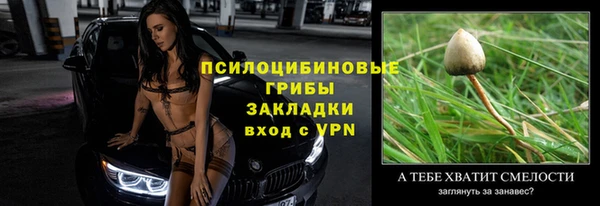 дмт Алексин