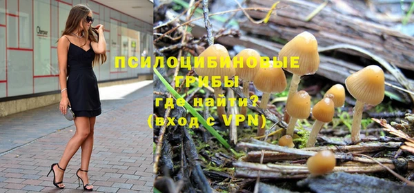 эйфоретик Алзамай